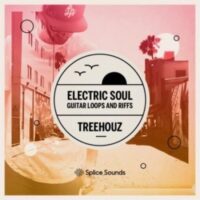 Electric Soul  Guitar Loops and Riffs by Treehouz