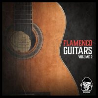 Vanilla Groove Studios Flamenco Guitars Vol 2