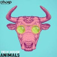 Tech House Animals