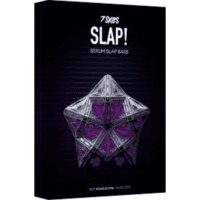 Slap – Slap House (Serum Presets)