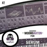 Vandalism - Shocking Moombahton For Serum 2