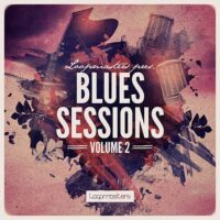 The Blues Sessions Vol 2