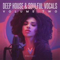 Deep House & Soulful Vocals 2