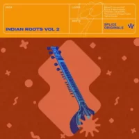 Indian Roots Vol 2