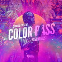 Black Octopus Sound - Color Bass Essentials