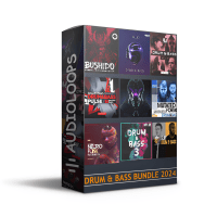 Drum & Bass Bundle 2024