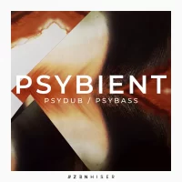 Zenhiser - Psybient