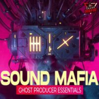 Sound Mafia - Ghost Producer Essentials Vol 1 ( Serum Preset )
