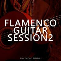 Flamenco Guitar Session 2