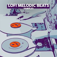 Lofi Melodic Beats