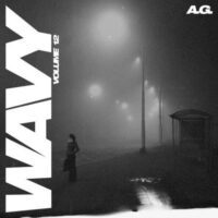 A.G. Wavy Sample Pack Vol.12