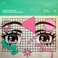Aukoustics: Evolving Sounds