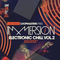Electronic Chill 2