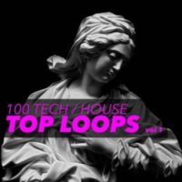 100 Tech House Top Loops Vol 1