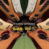 Dynamic Euphoria Guitar Vol 1