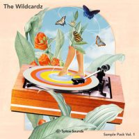 The Wildcardz Sample Pack Vol 1