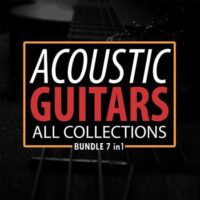 Acoustic Guitars All Collections BUNDLE 7-in-1