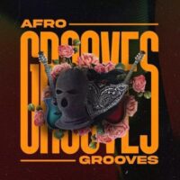 Afro Grooves