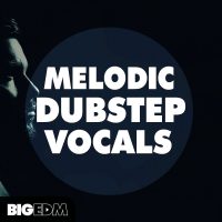 Melodic Dubstep Vocals