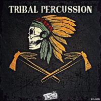 DJ 1Truth Tribal Percussion