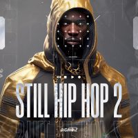 Diginoiz Still Hip Hop 2