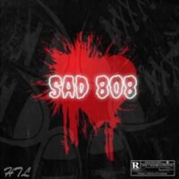 Dynasty Loops Sad 808