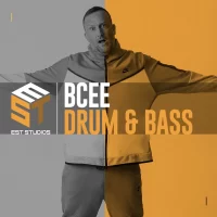 BCee Drum & Bass