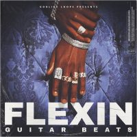 Flexin-Guitar Beats