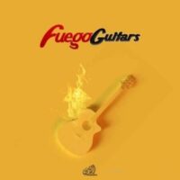 Fuego Guitars
