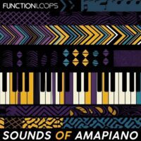 Function Loops Sounds Of Amapiano