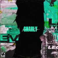 Gnarly