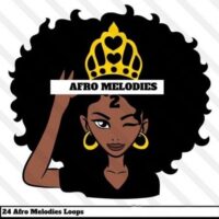 Hookshow Afro Melodies 2