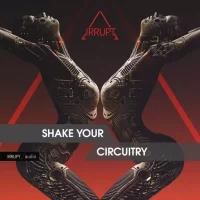 Shake Your Circuitry