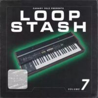 Loop Stash Volume 7