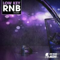 Low Key RnB Vol 1