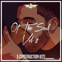 Of The Soul Vol  2
