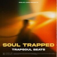 Oneway Audio Soul Trapped