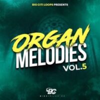 Organ Melodies Vol 5