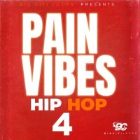 Pain Vibes Hip Hop 4
