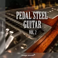 Pedal Steel Guitar 2
