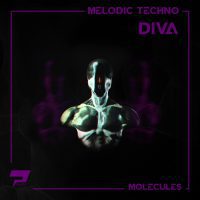Molecules Melodic Techno Diva Presets