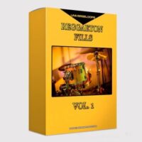 Reggaeton Fills Vol 1