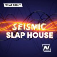 Seismic Slap House