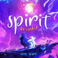 Spirit Drum Kit