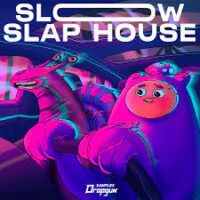 Slow Slap House