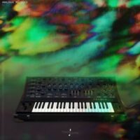 Touch Loops Analogue Melodics