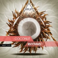 Coconut Rhythms