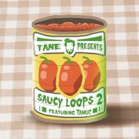Saucy Loops 2