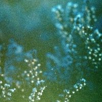 Distorted Ambience Sample Pack Vol 4