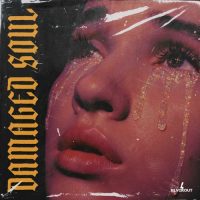 Damaged Soul